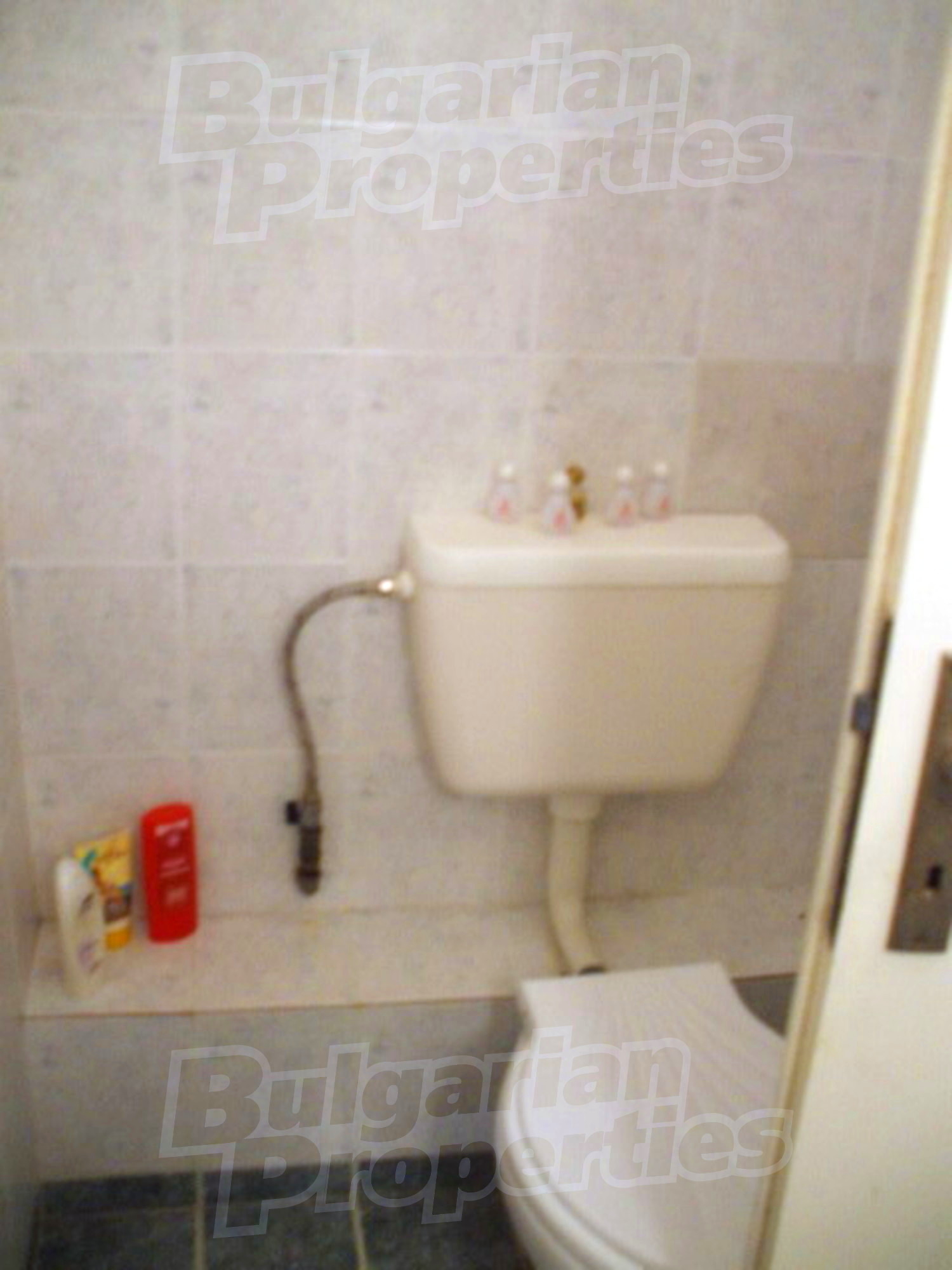 Gallery Picture 29