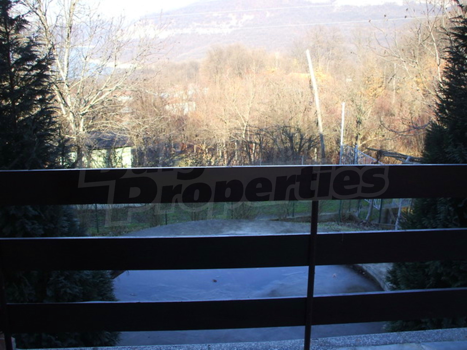 Gallery Picture 36