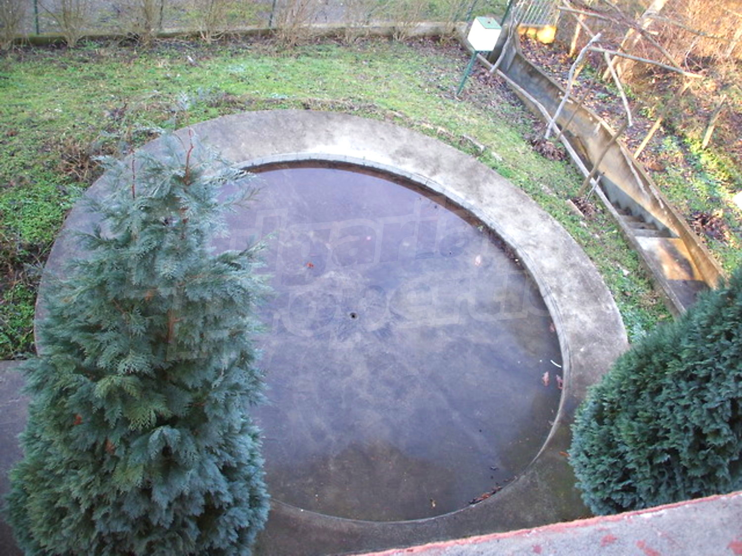 Gallery Picture 37
