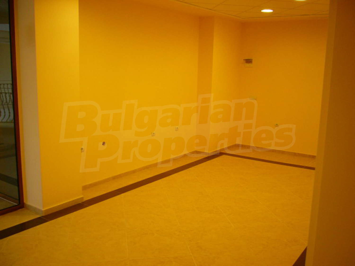 Gallery Picture 5