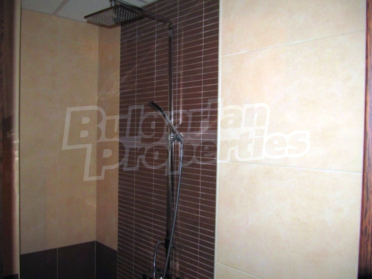 Gallery Picture 16