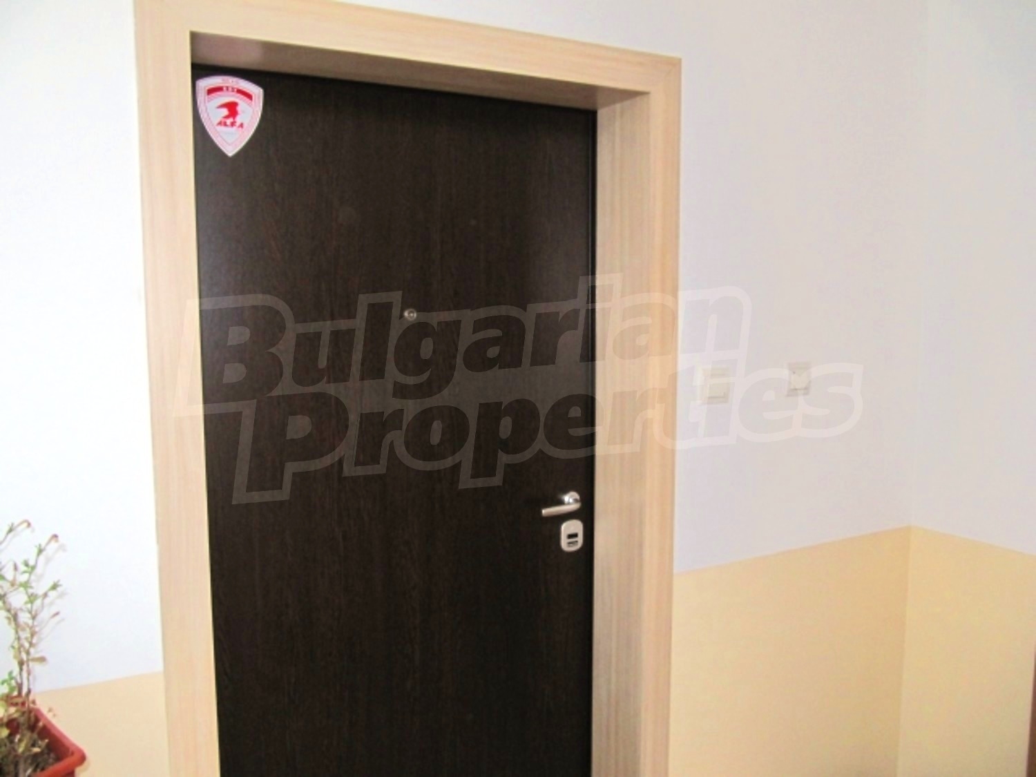Gallery Picture 4