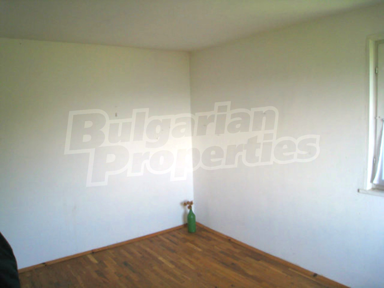 Gallery Picture 11