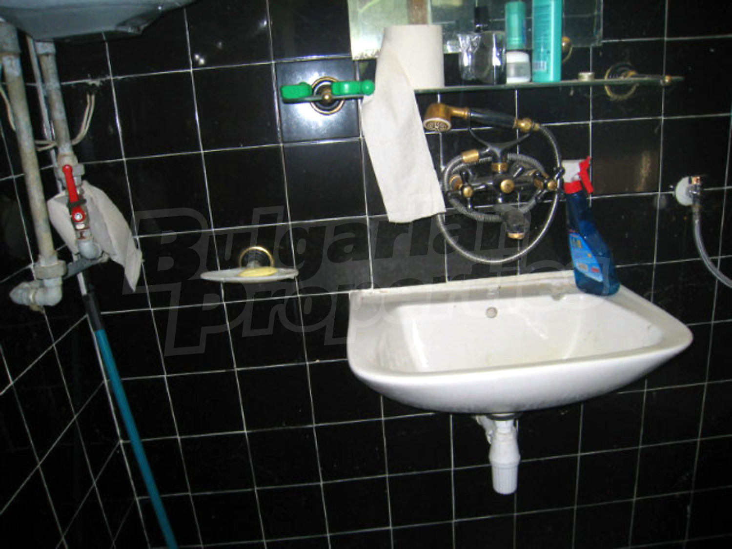 Gallery Picture 15