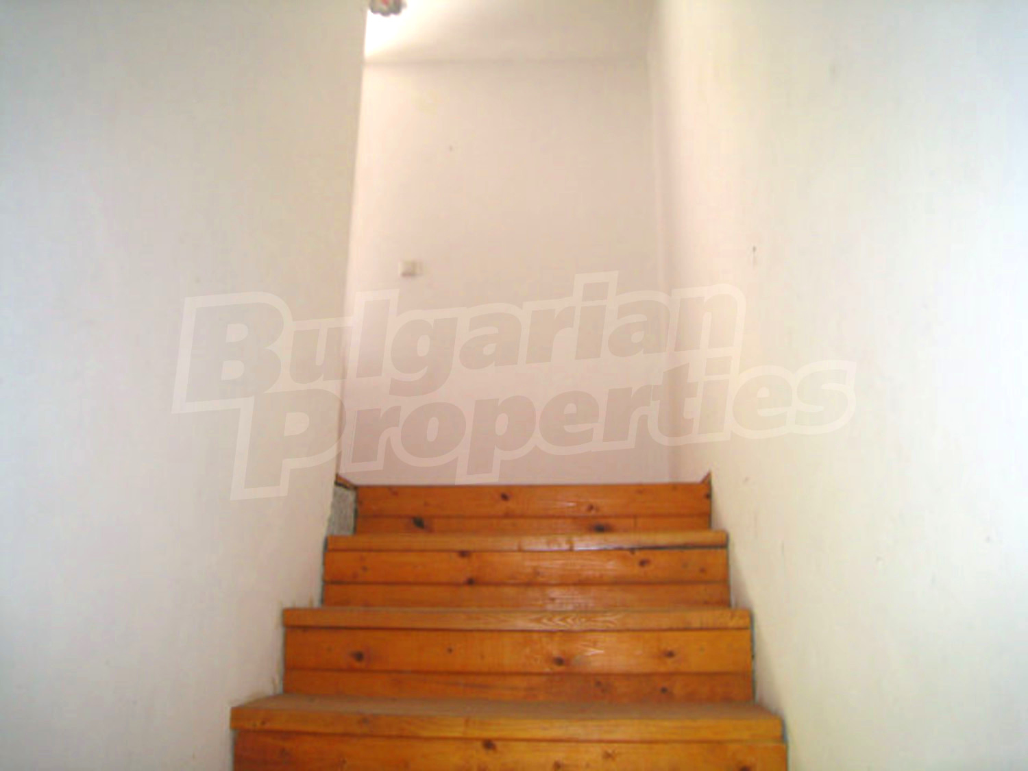 Gallery Picture 17
