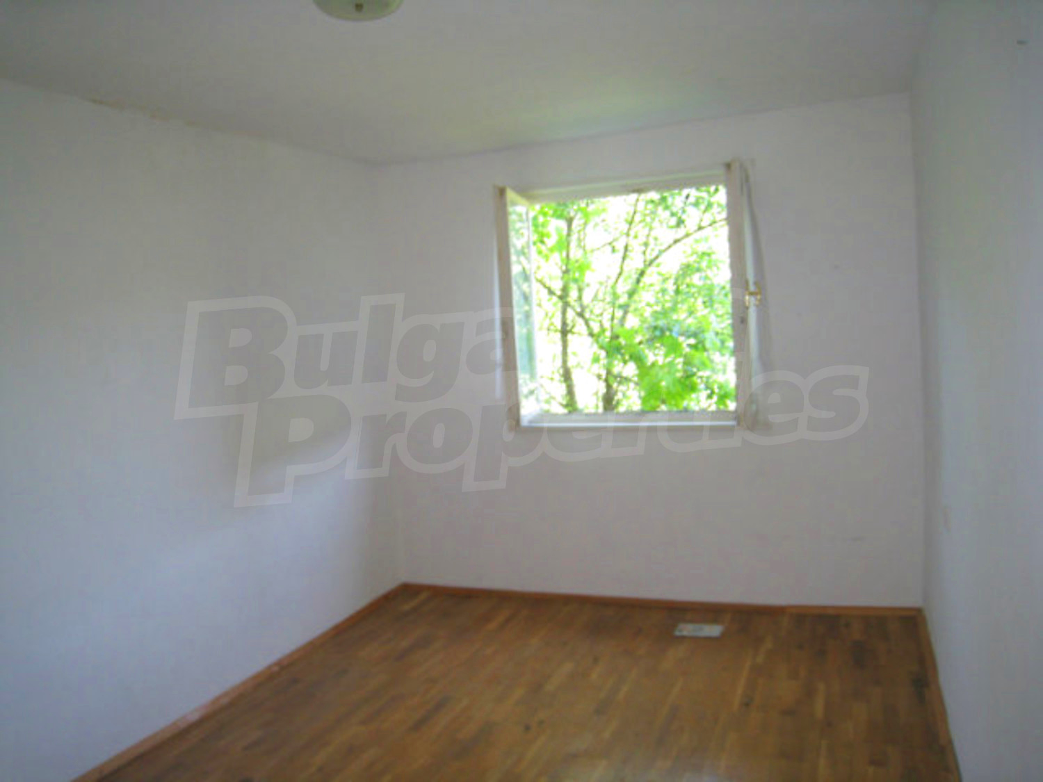 Gallery Picture 19