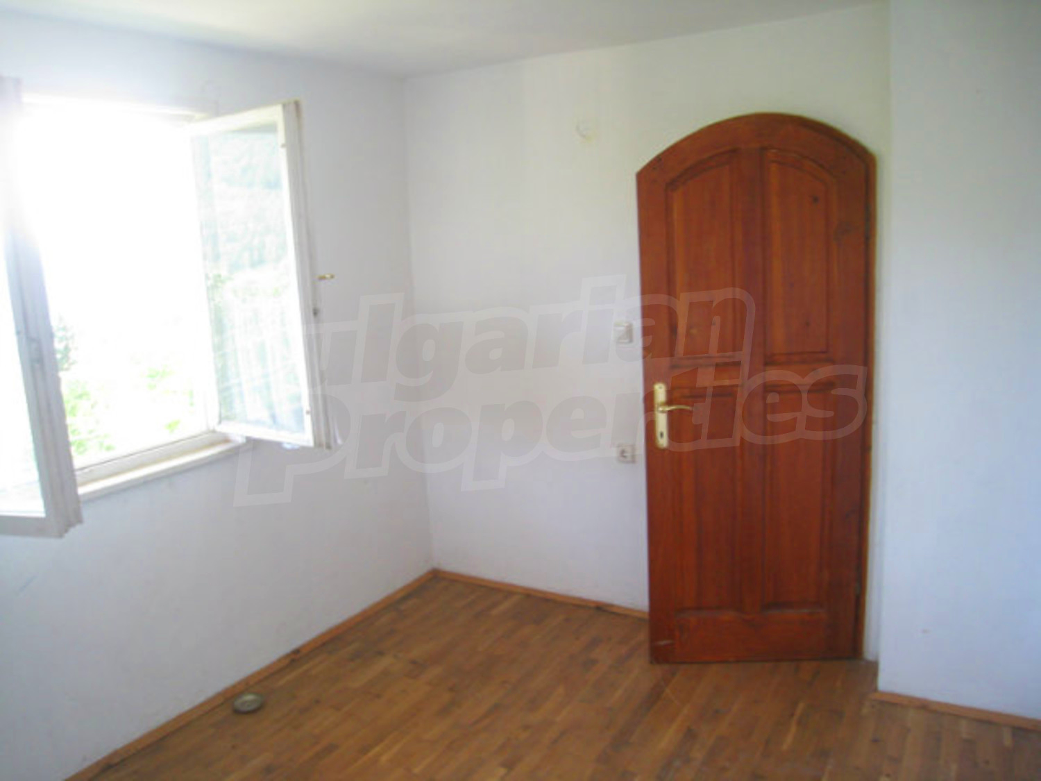 Gallery Picture 22