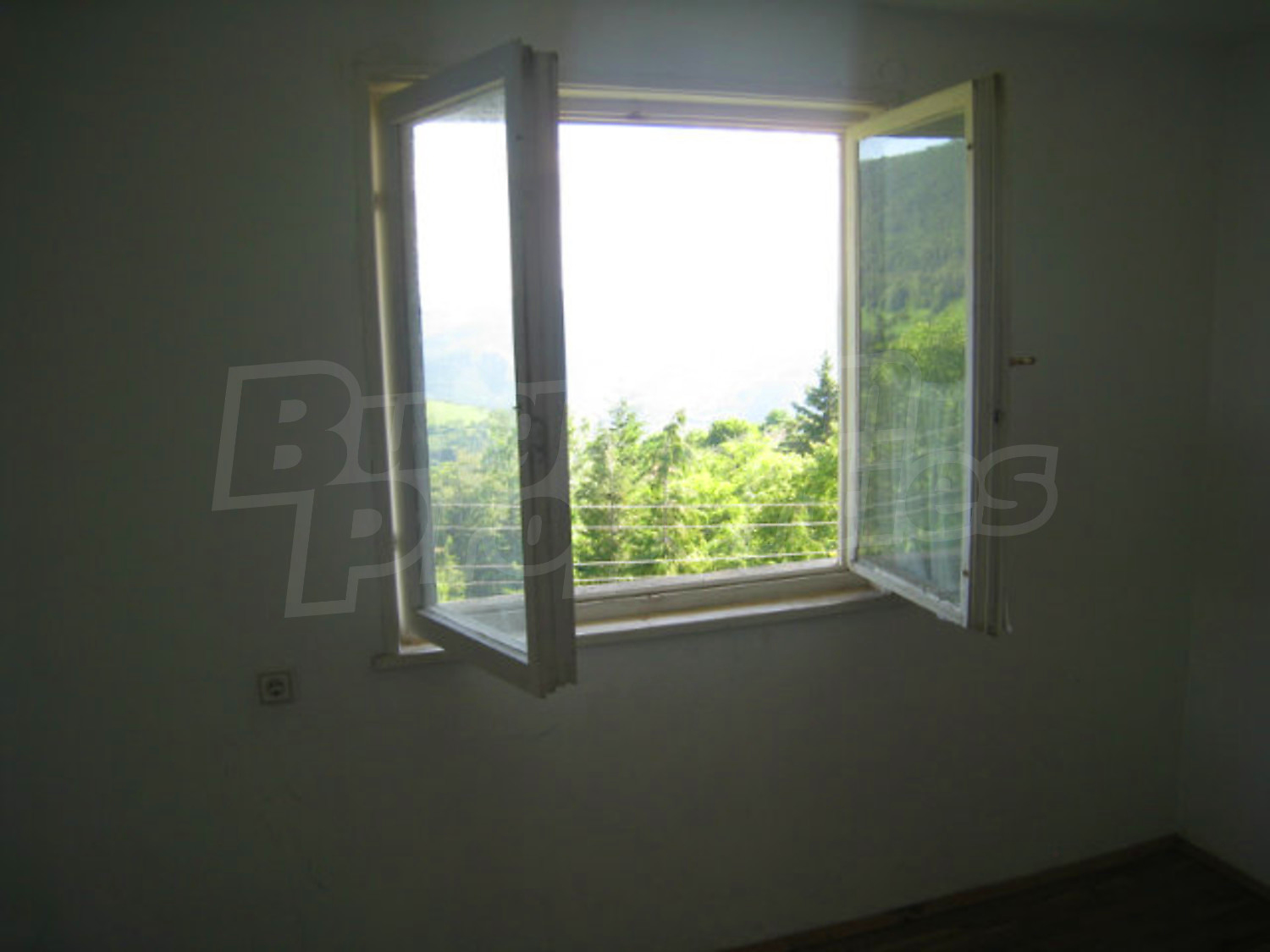 Gallery Picture 23