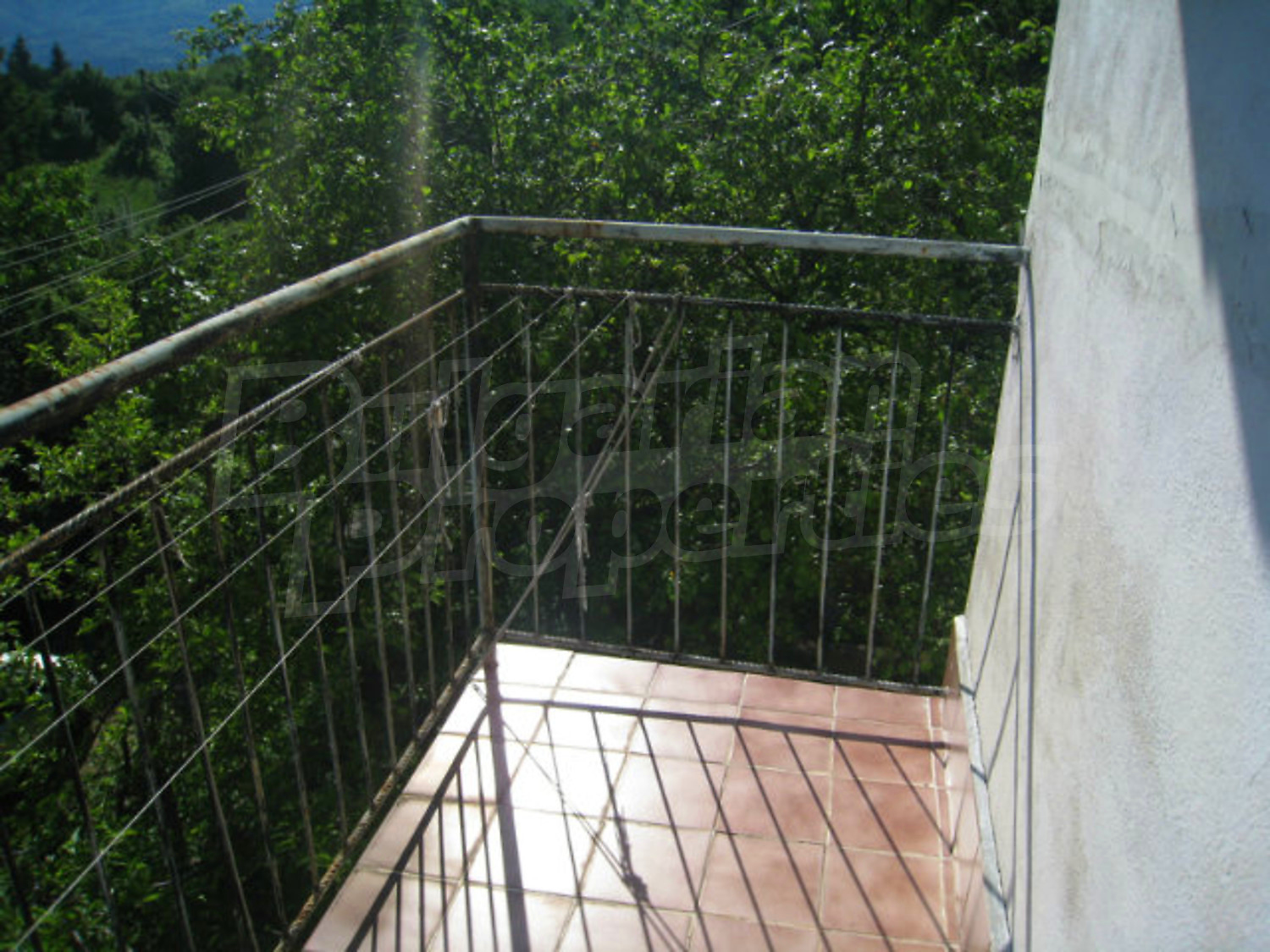 Gallery Picture 27