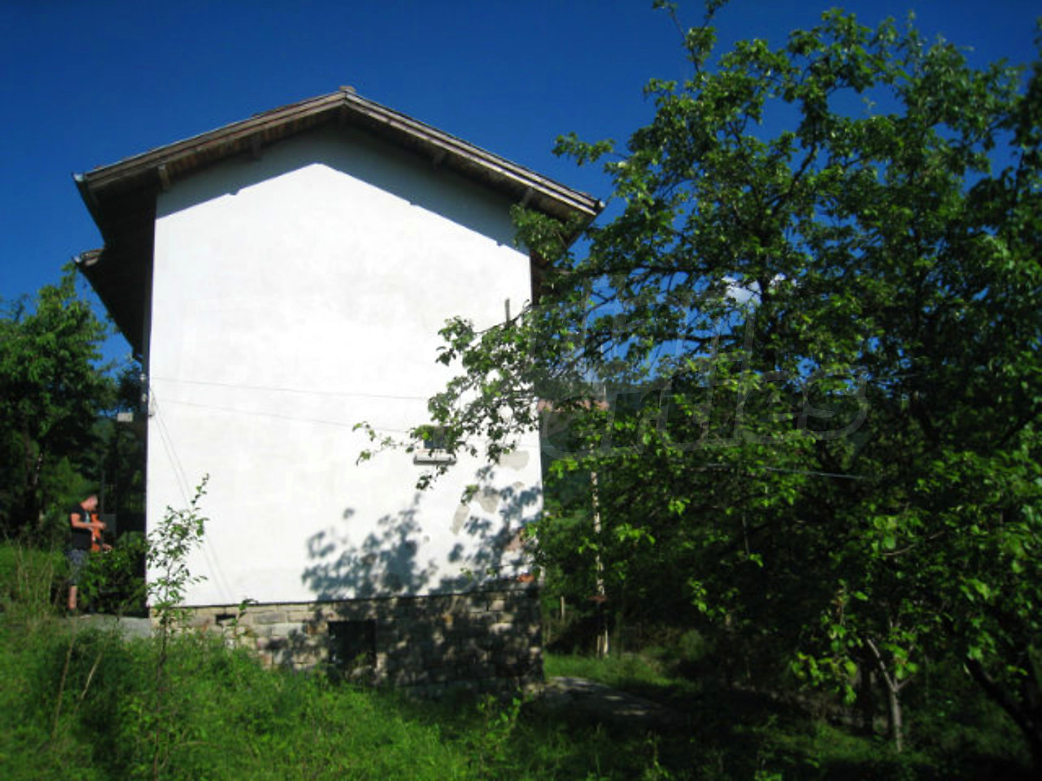 Gallery Picture 29