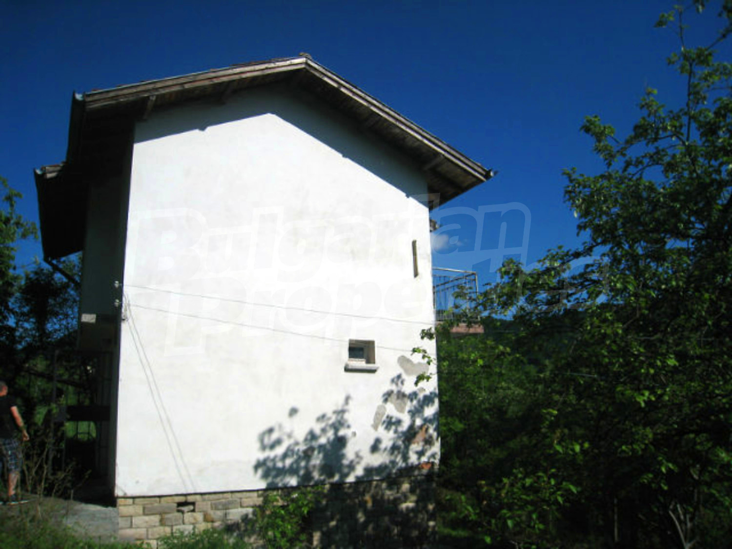 Gallery Picture 30