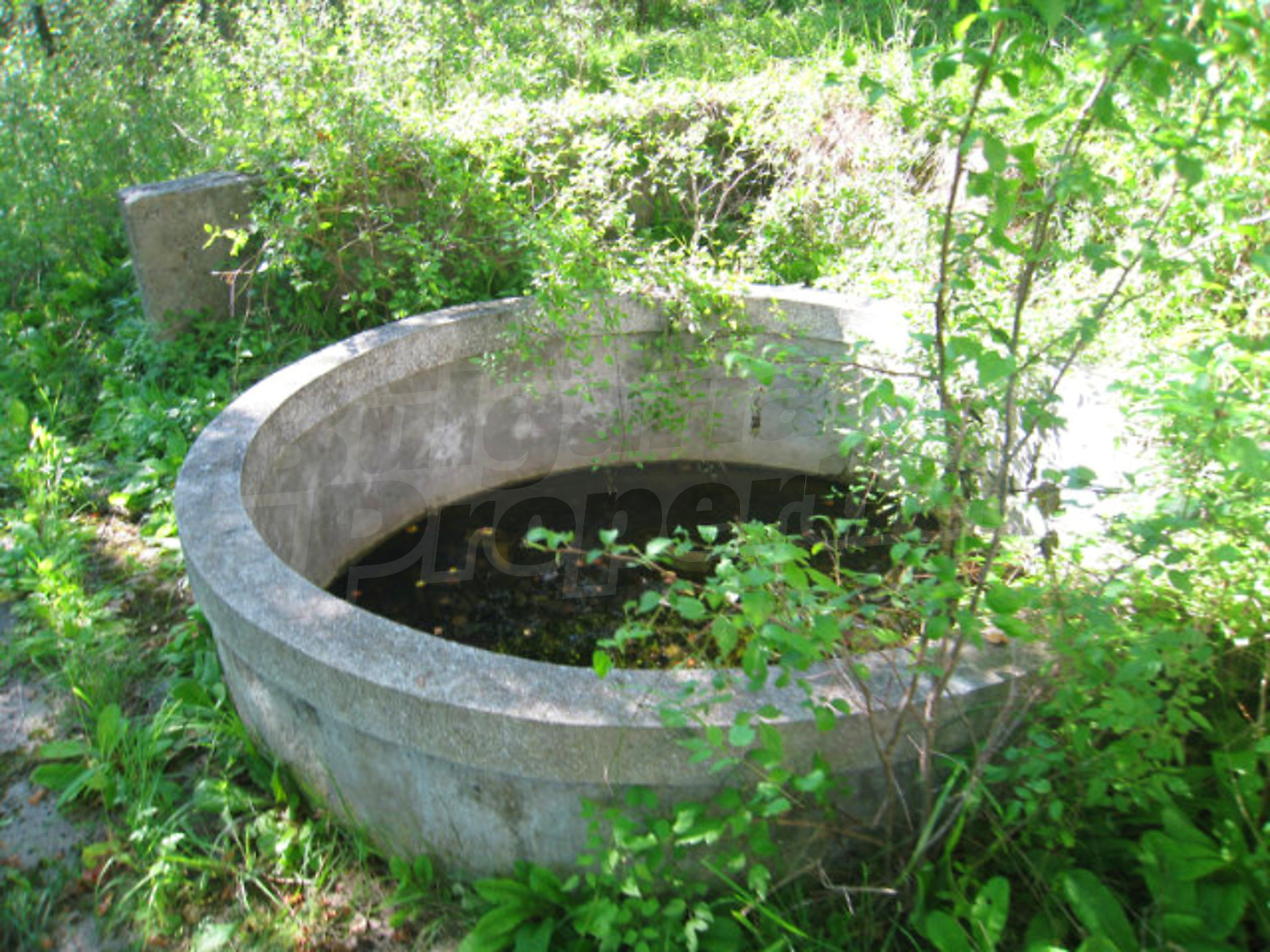 Gallery Picture 32