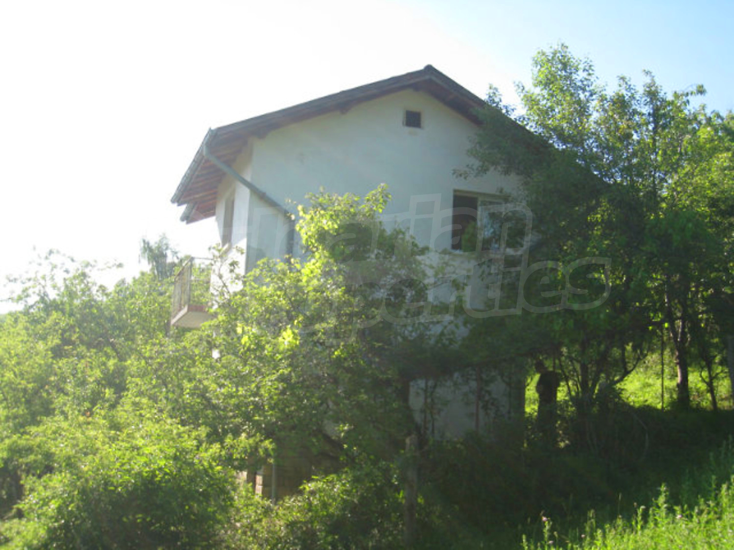 Gallery Picture 45