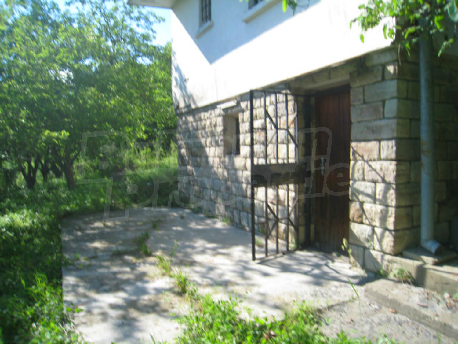 Gallery Picture 5