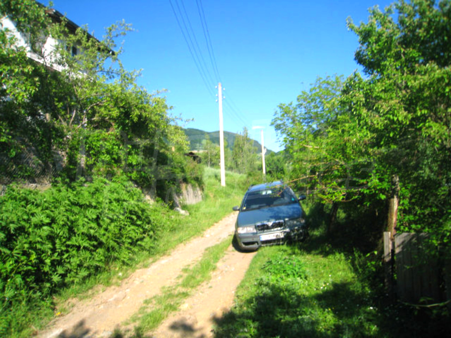 Gallery Picture 51