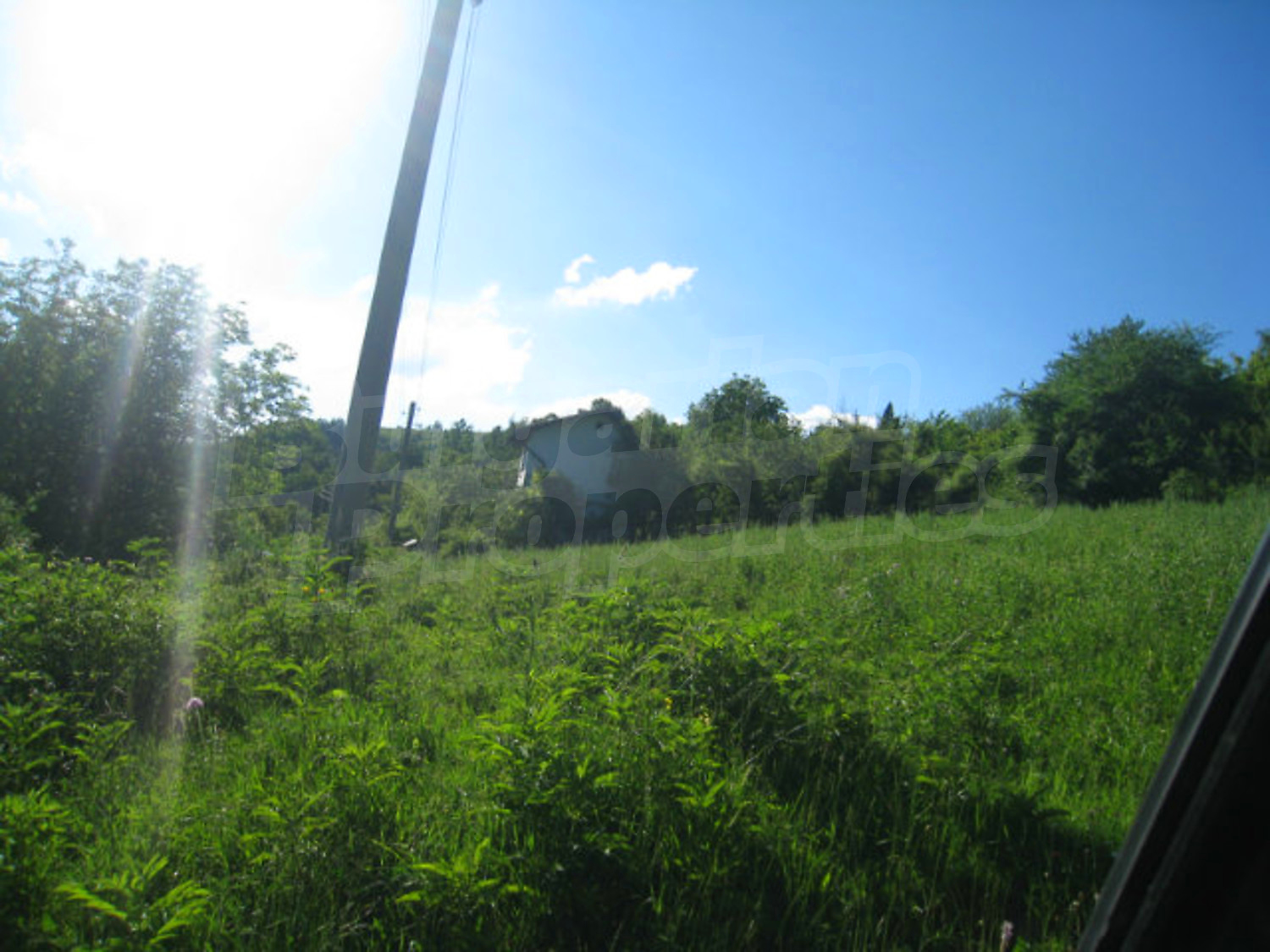 Gallery Picture 53