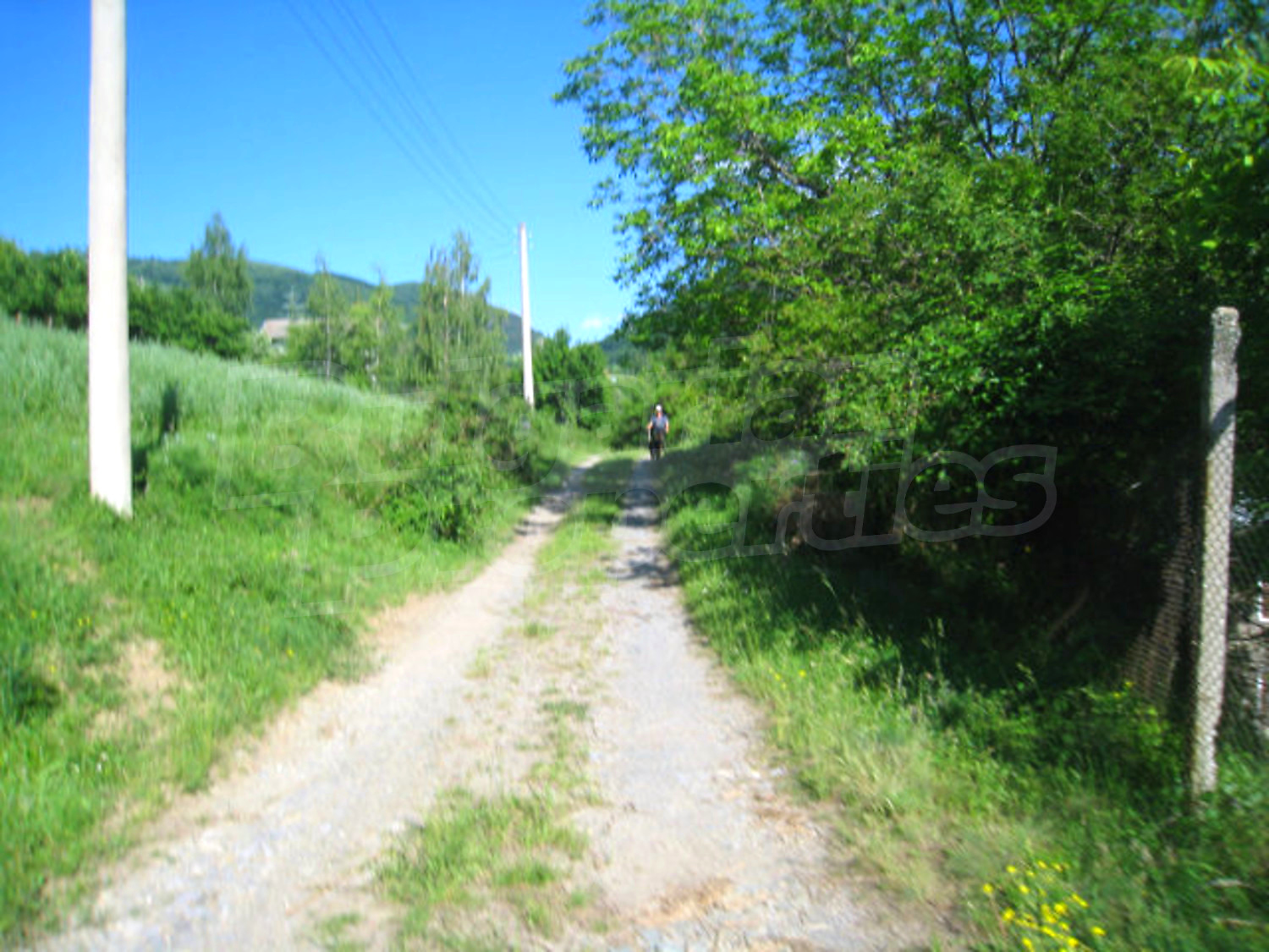 Gallery Picture 54