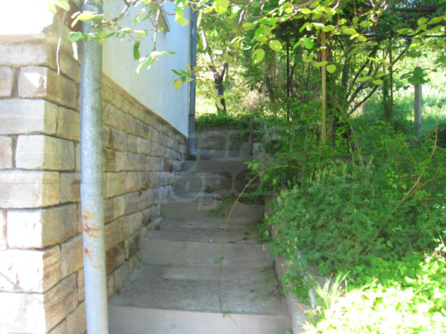 Gallery Picture 6