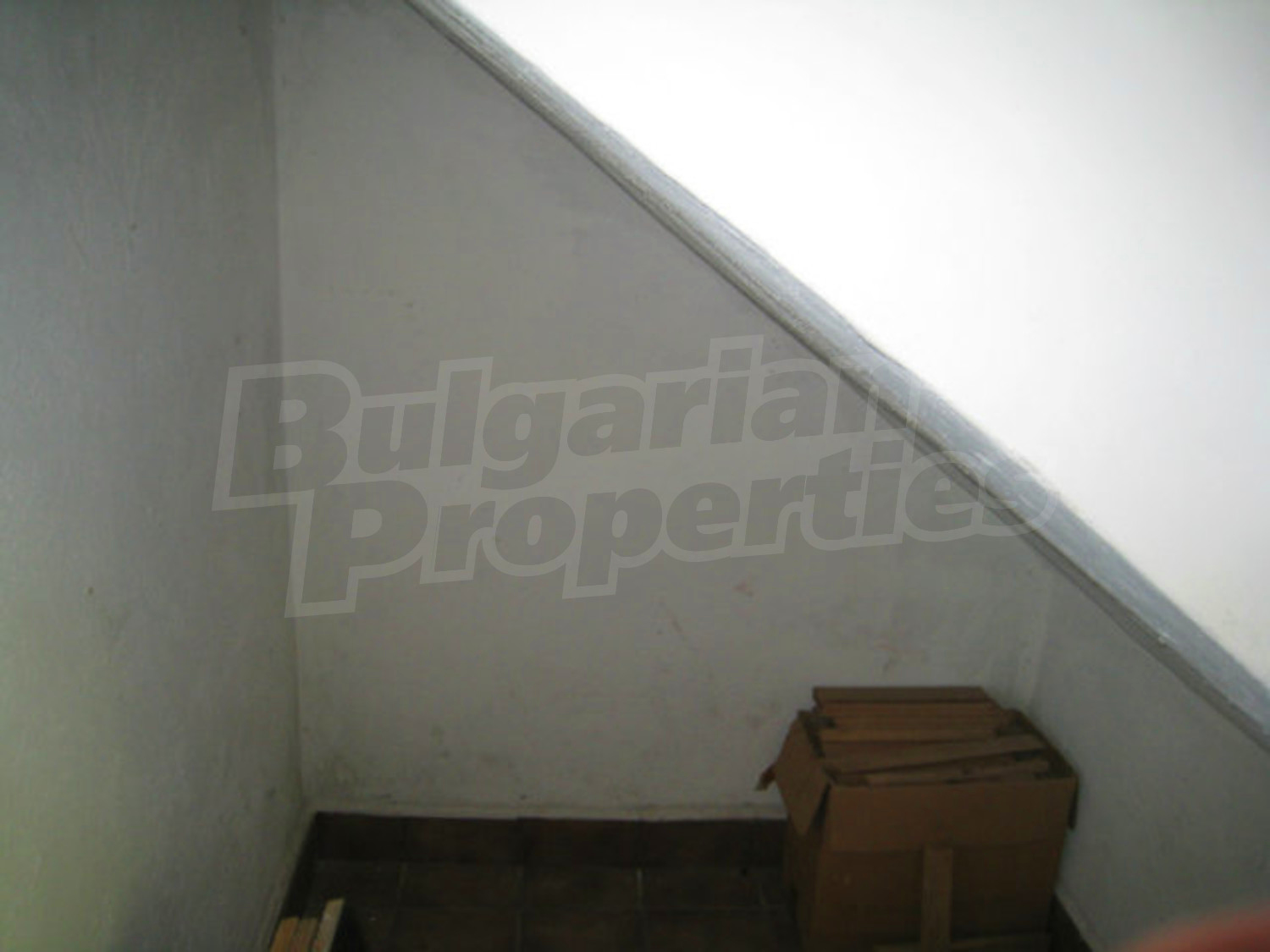 Gallery Picture 9