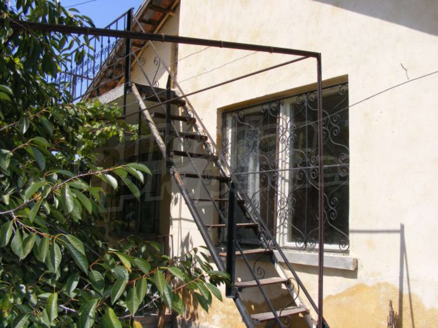 Gallery Picture 24
