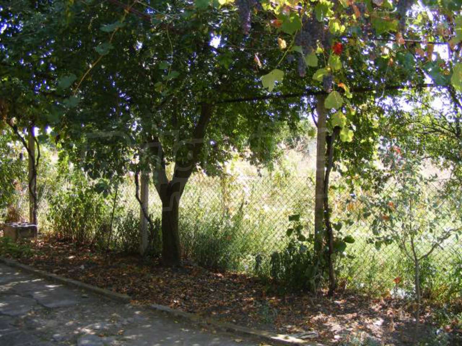 Gallery Picture 34