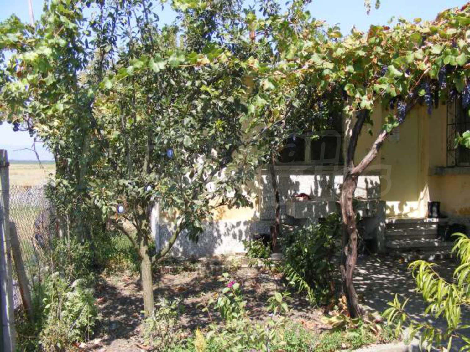 Gallery Picture 35