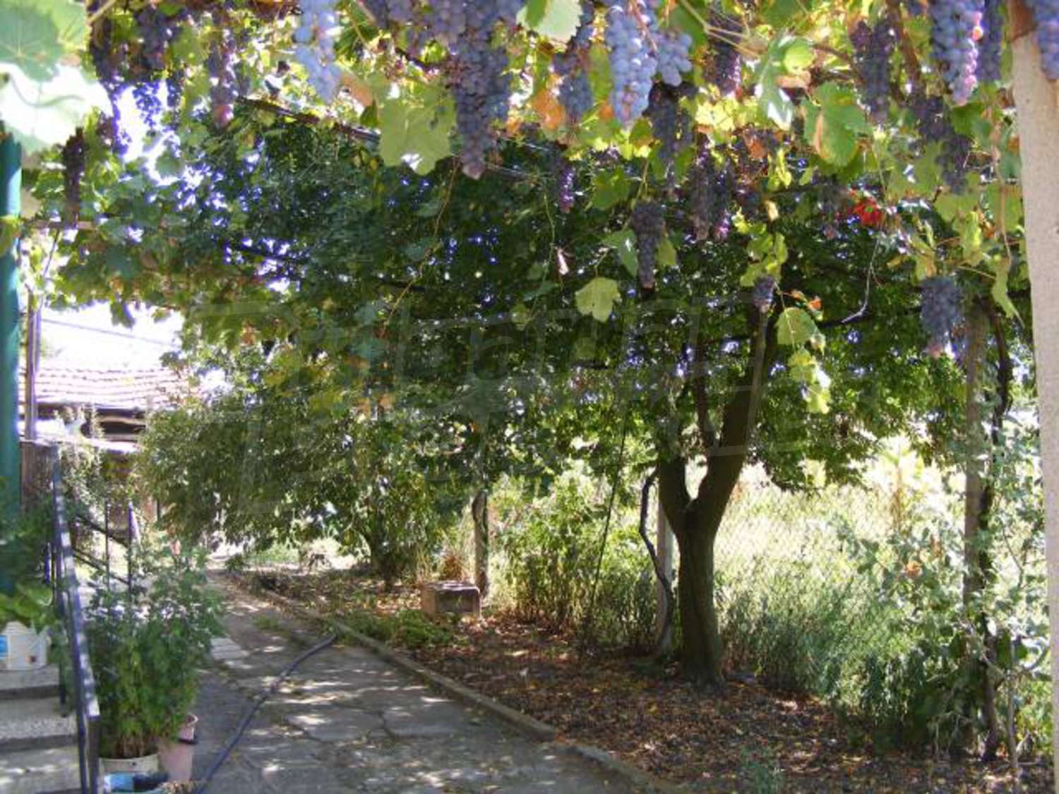 Gallery Picture 36