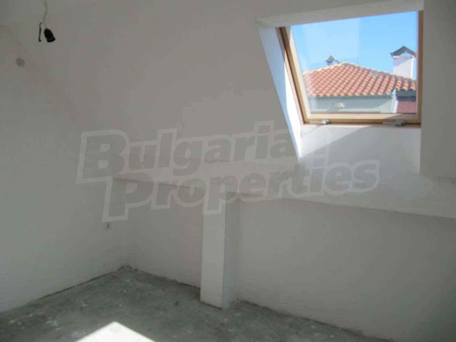 Gallery Picture 6