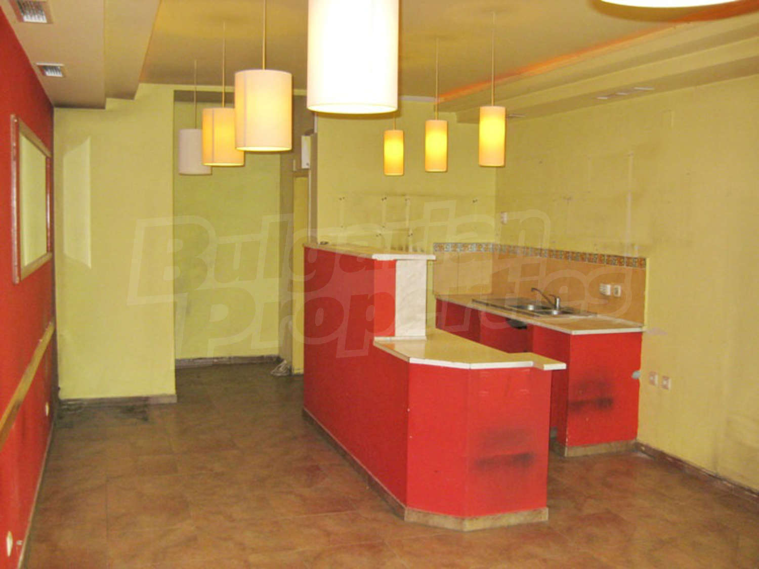 Gallery Picture 5