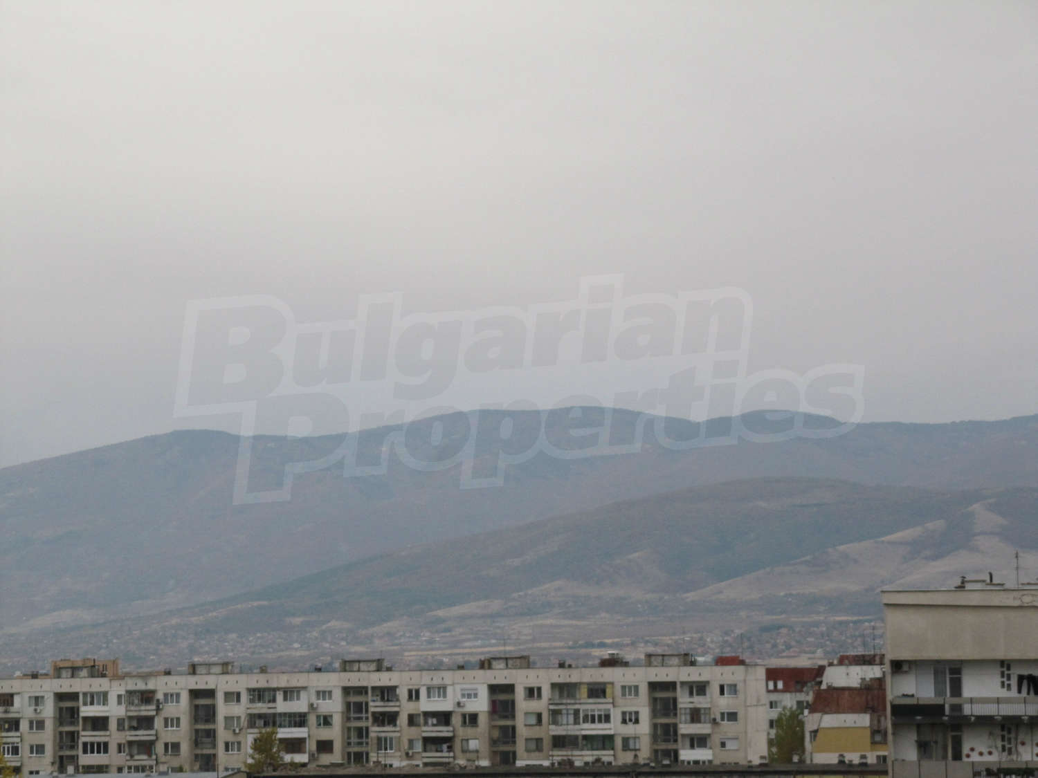 Gallery Picture 20