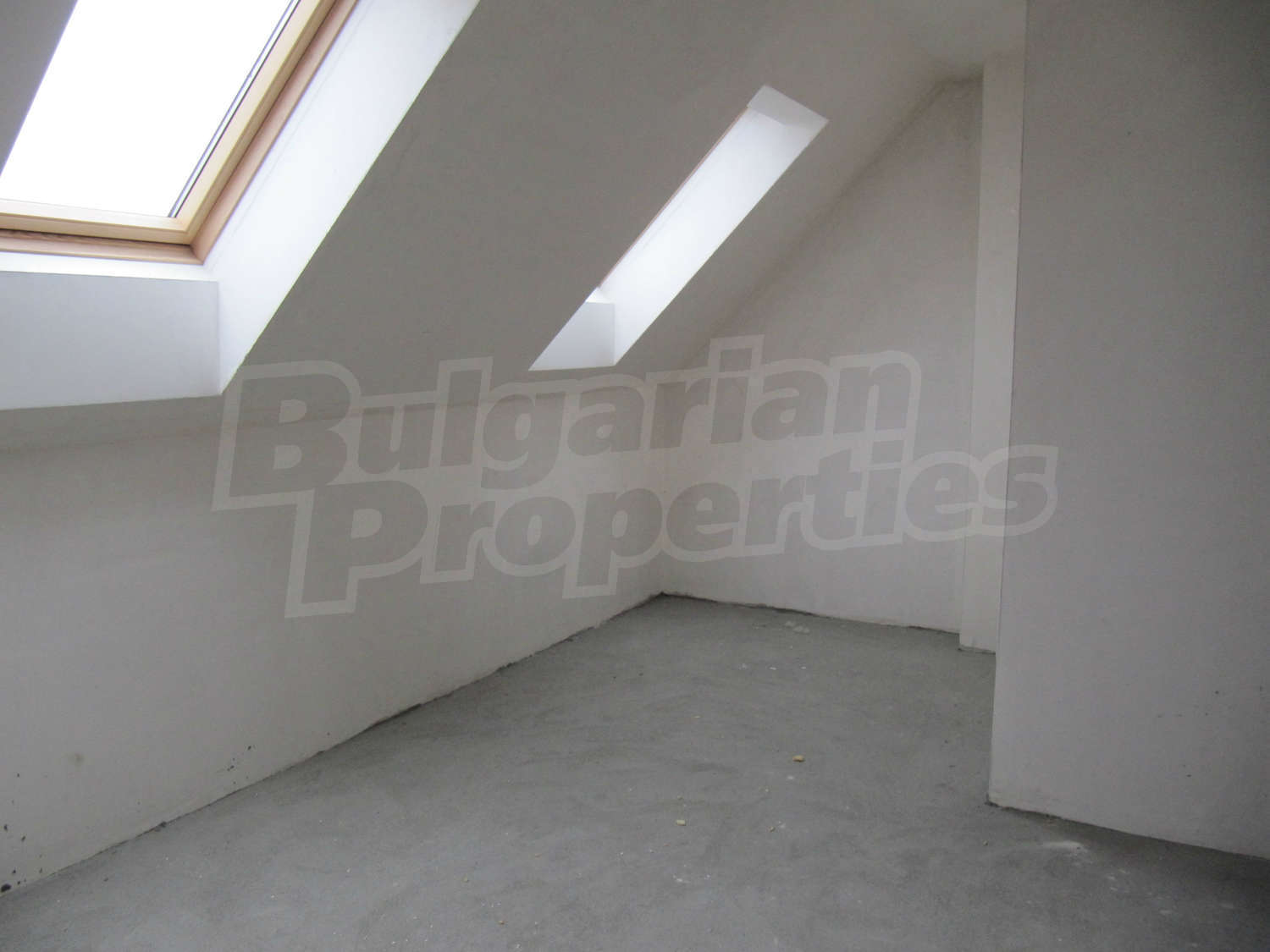 Gallery Picture 7
