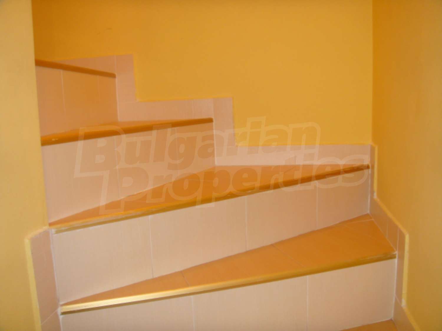 Gallery Picture 11