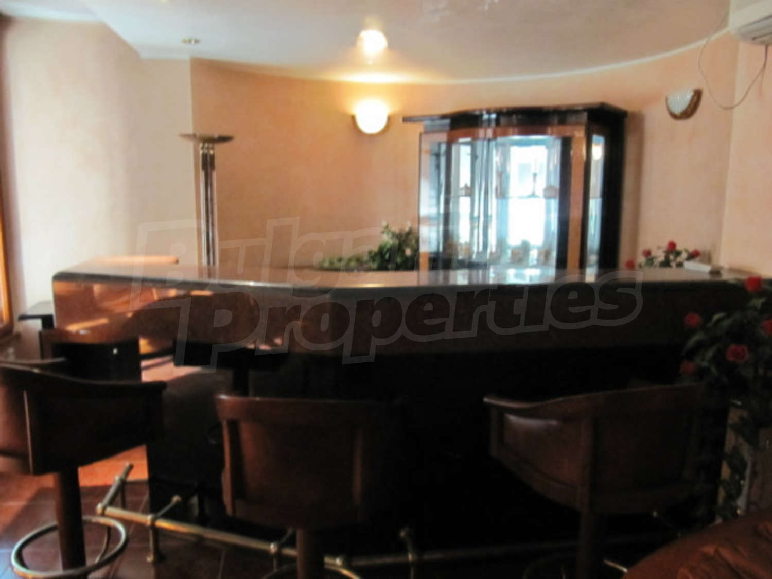 Gallery Picture 17