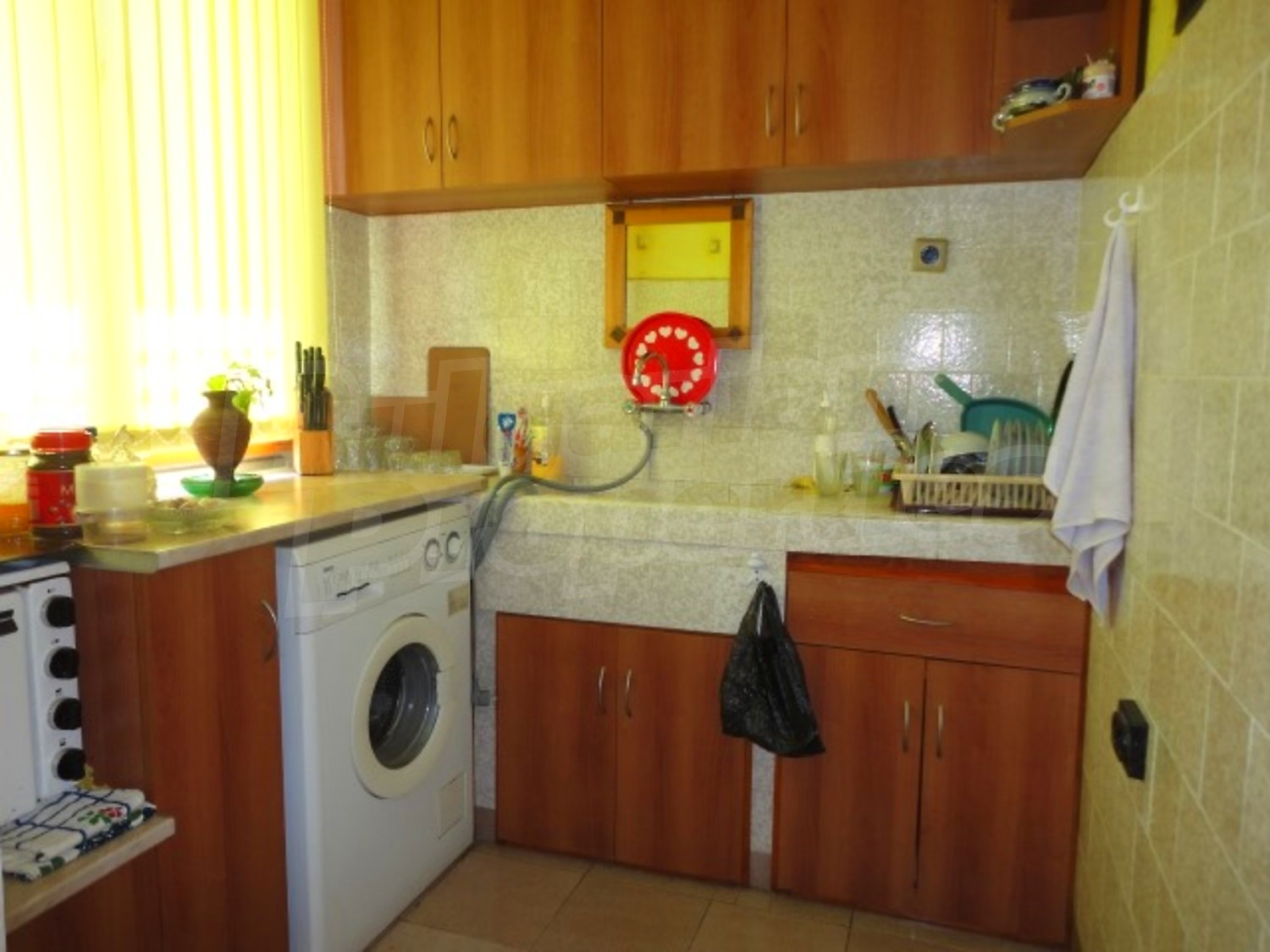 Gallery Picture 19