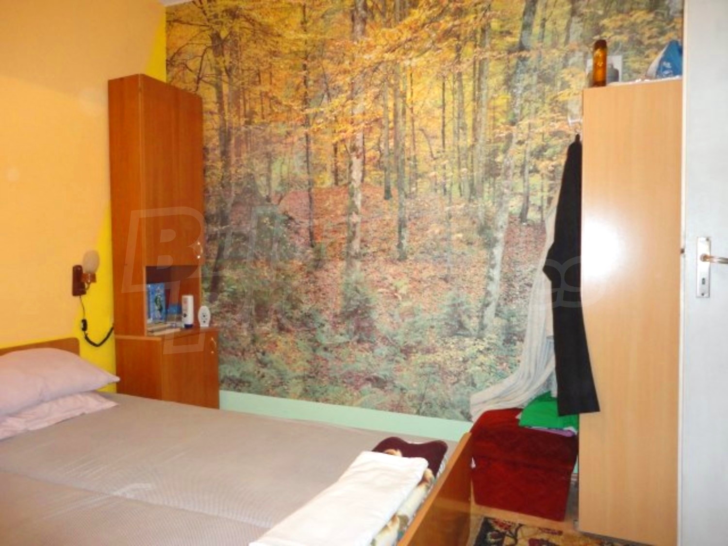 Gallery Picture 22