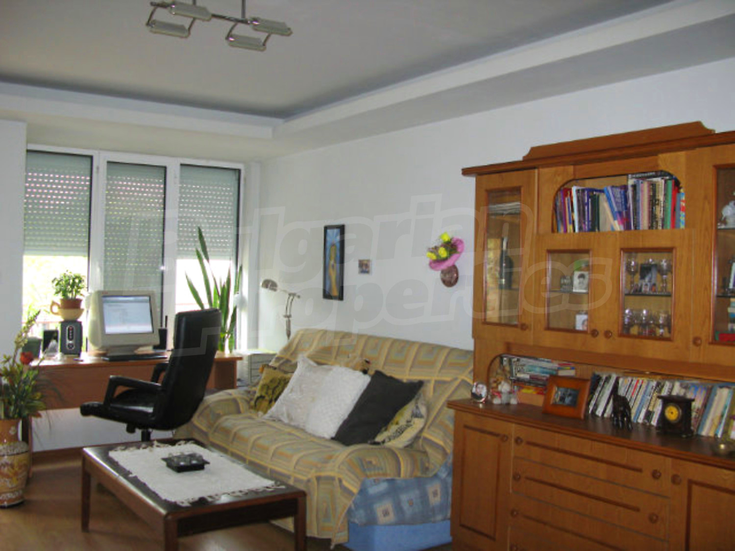 Gallery Picture 11