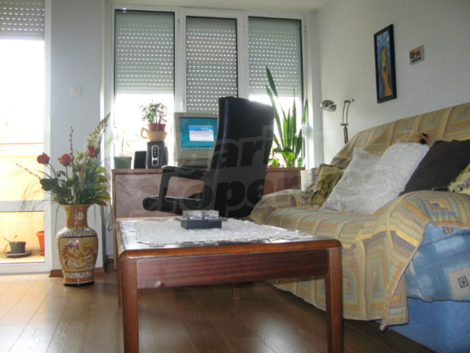 Gallery Picture 15