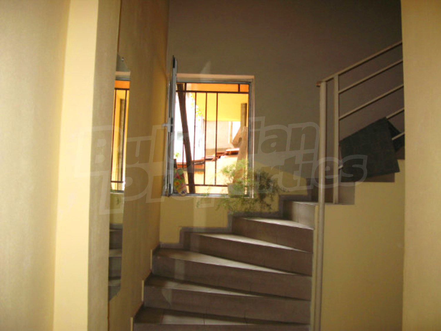 Gallery Picture 2