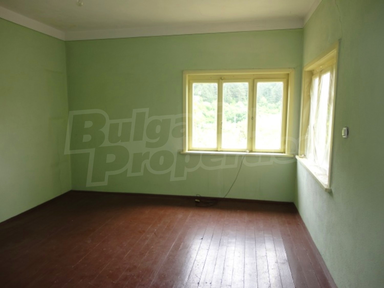 Gallery Picture 19