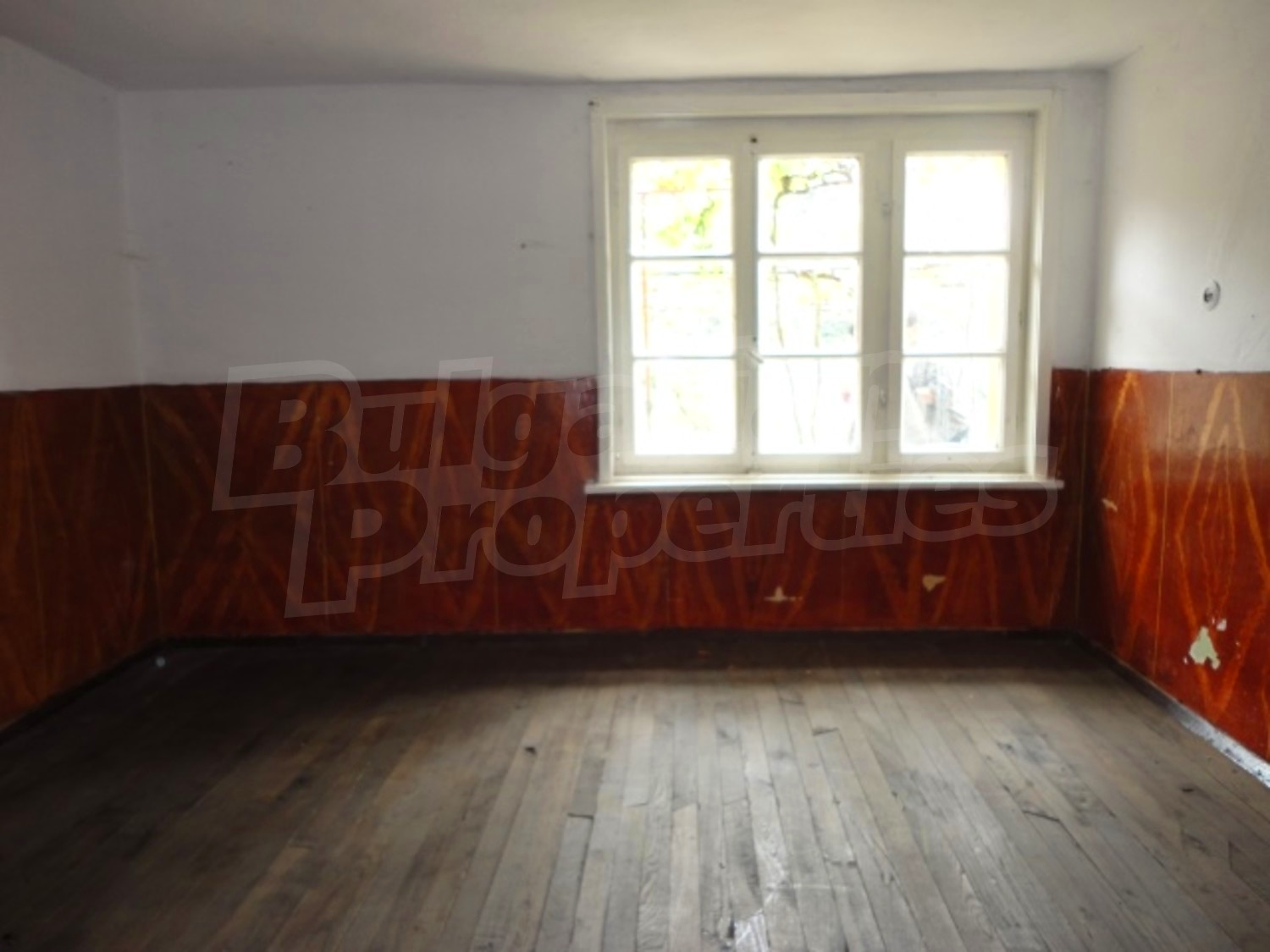 Gallery Picture 8