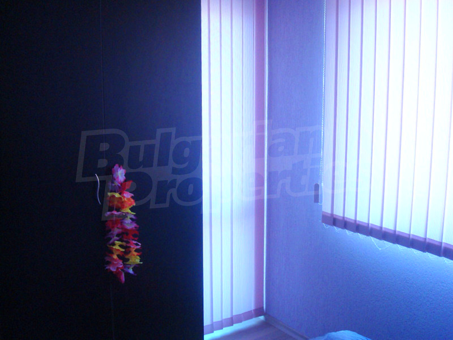Gallery Picture 10
