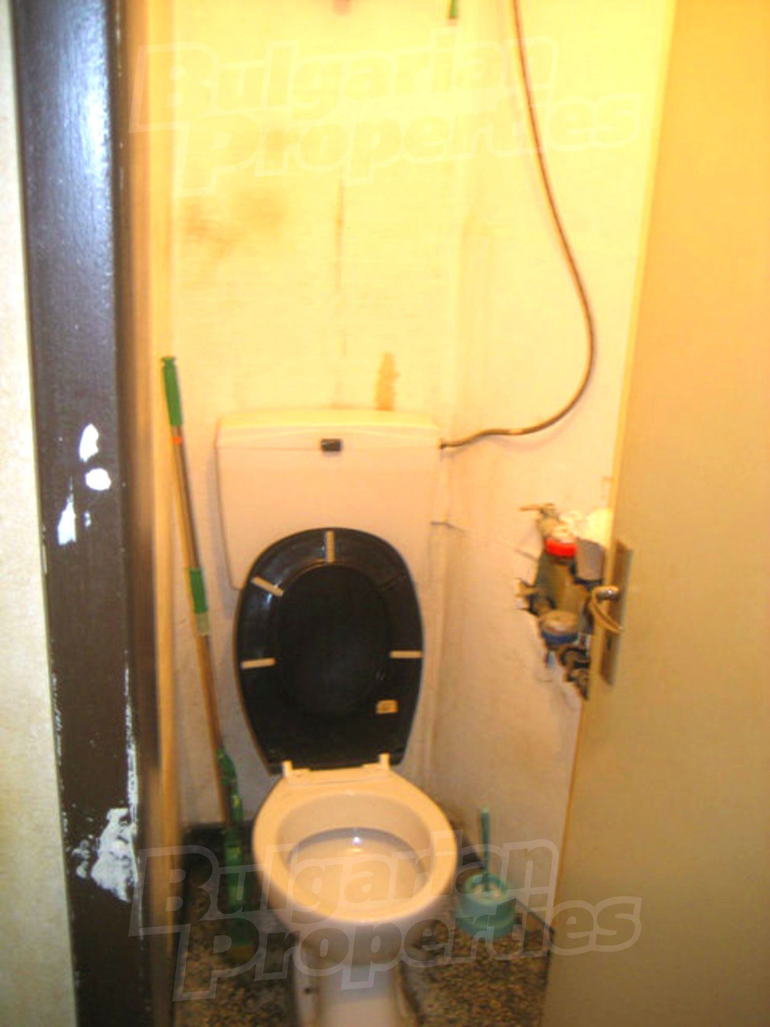 Gallery Picture 15