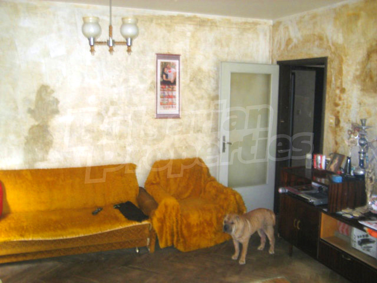Gallery Picture 3