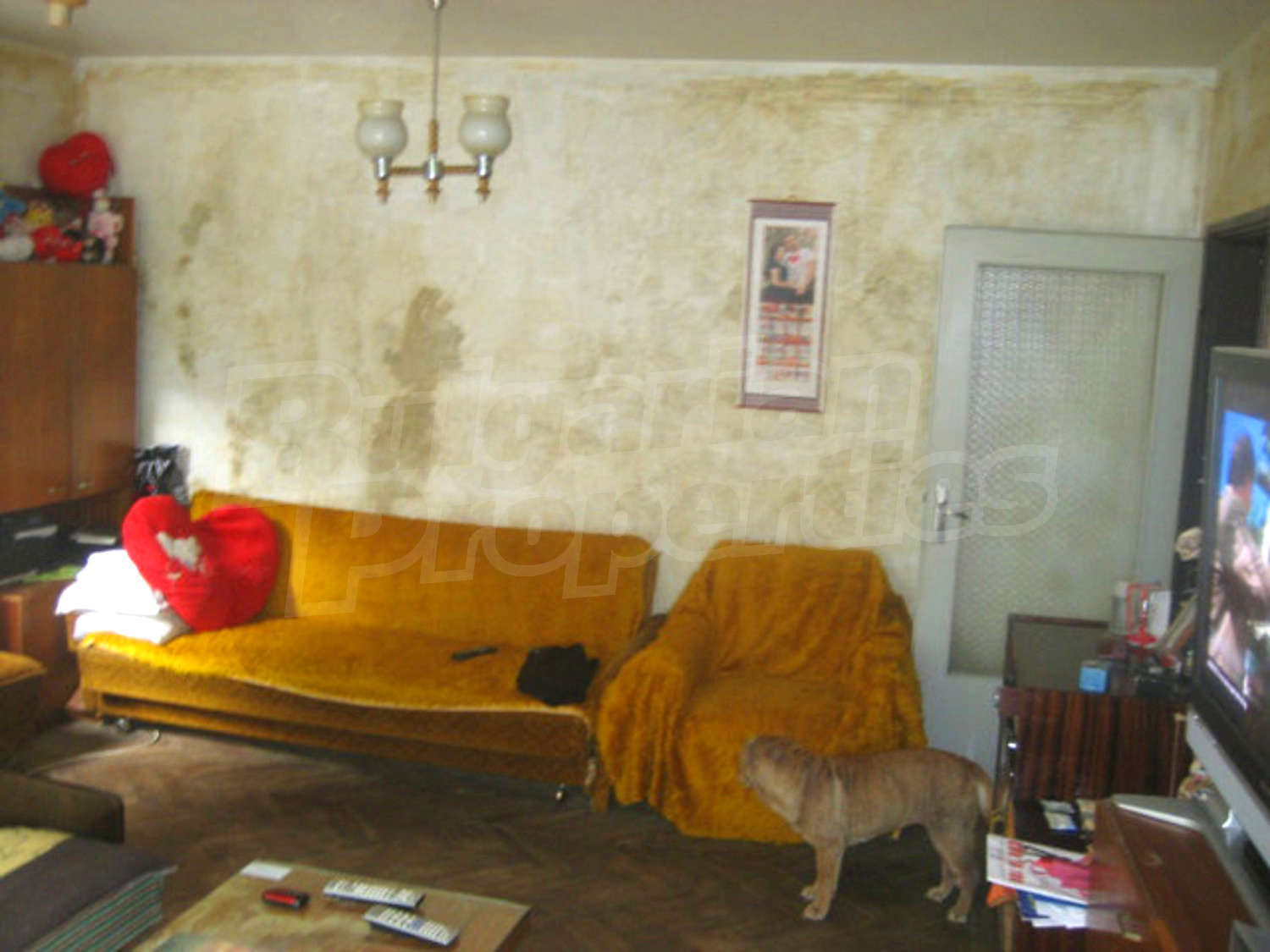 Gallery Picture 4