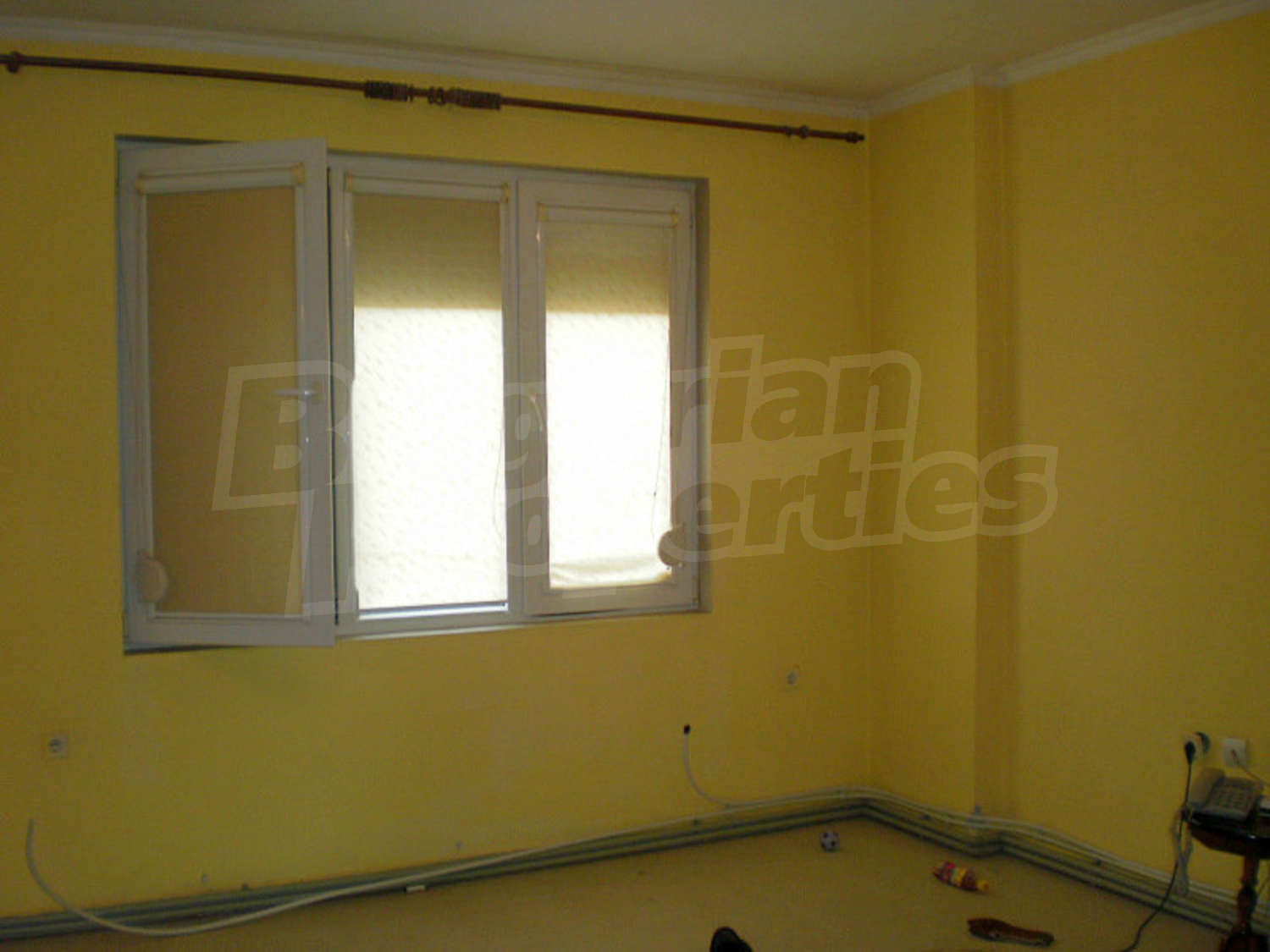 Gallery Picture 25
