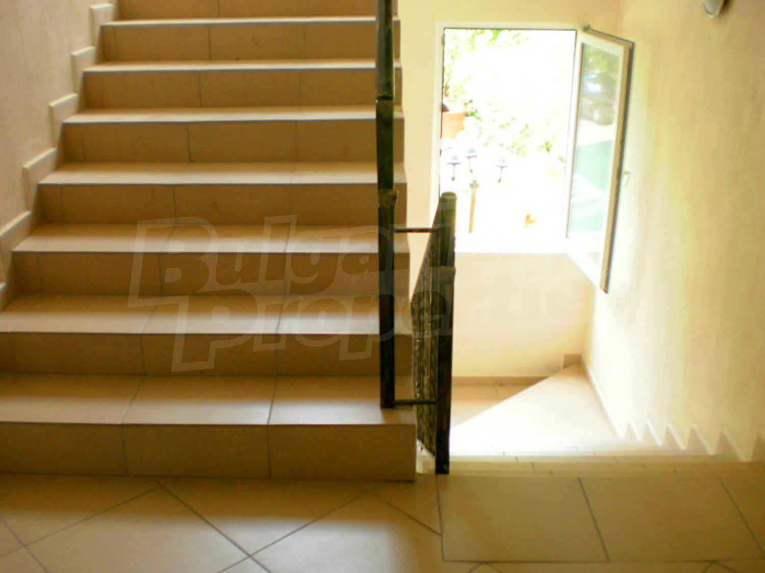 Gallery Picture 15