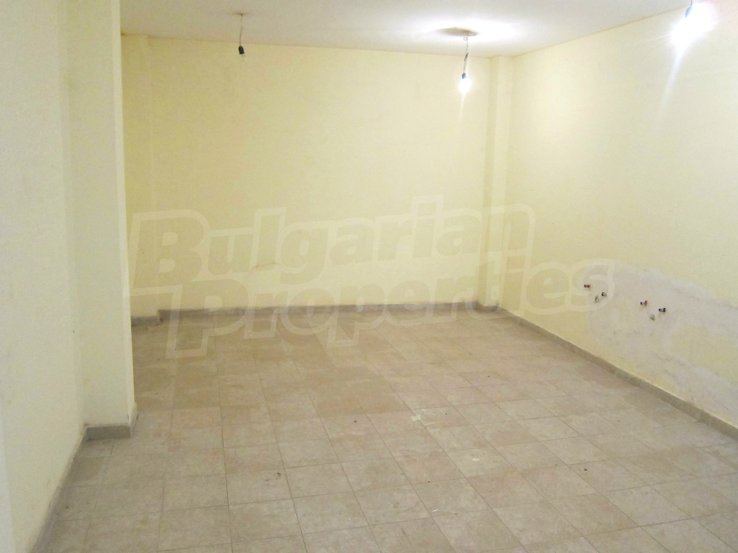 Gallery Picture 10