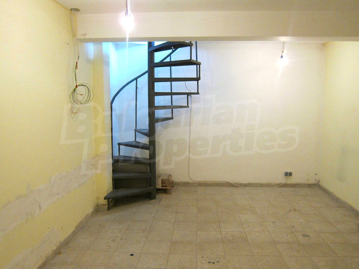 Gallery Picture 11