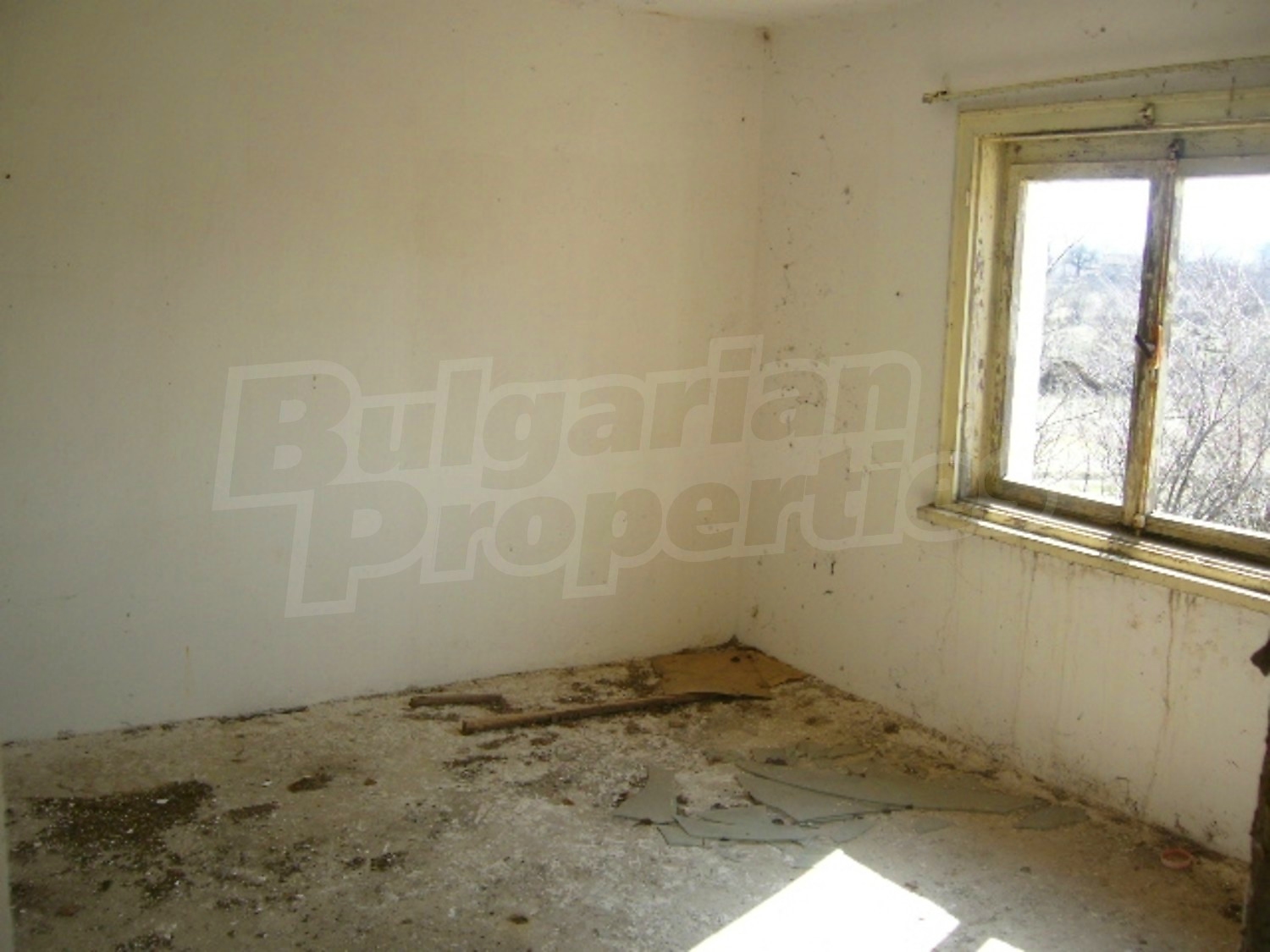 Gallery Picture 5