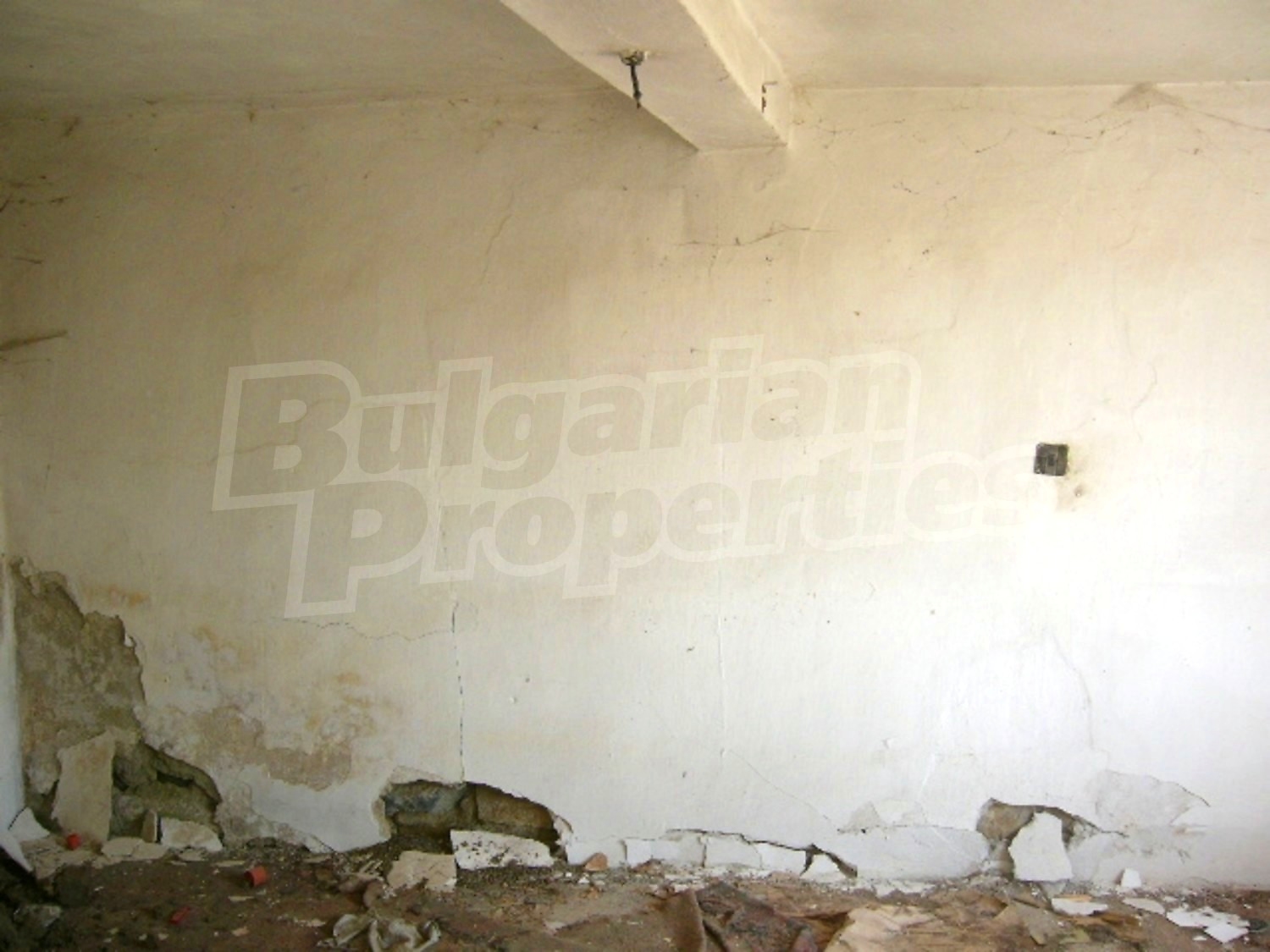 Gallery Picture 6